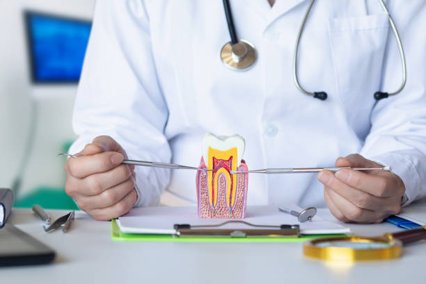 Best Emergency Tooth Extraction in Holland, TX
